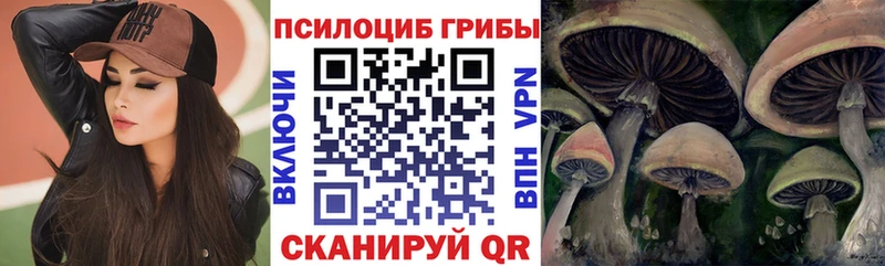 Псилоцибиновые грибы Cubensis  Серафимович 